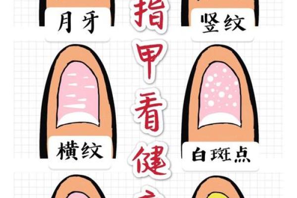 手指月牙偏右：解析其与命理的深刻联系与影响