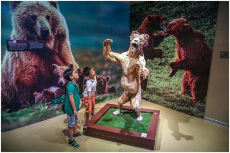 探寻1984年的鼠：命运与个性的奥秘之旅