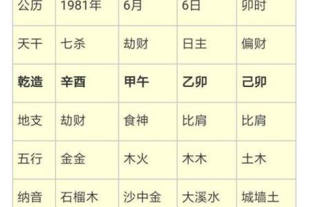 探寻1992年2月24日出生者的命运与人生特质