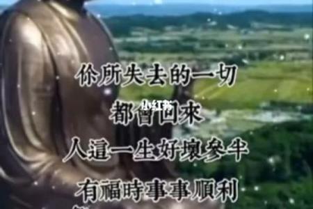 男命陈中平是双妻命格吗？探秘命理与人生抉择的真相