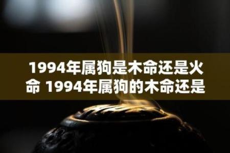 天生火命的属相解析：揭秘命理背后的热情与力量