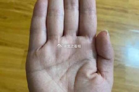 探秘戴西太后命理：如何选择适合她的命理之道