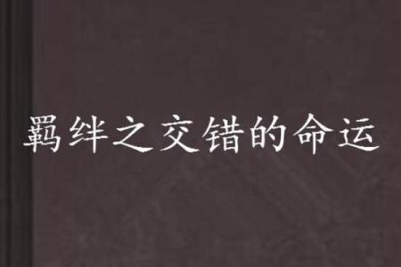 命运的羁绊：我与我哥的生活对比
