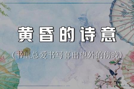 爱书如命：书籍在我们生活中的重要性与魅力