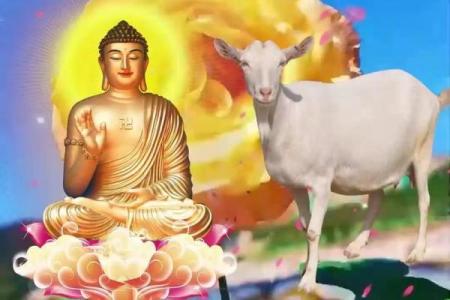 属羊人的性格与命运，如何把握人生机遇与挑战？