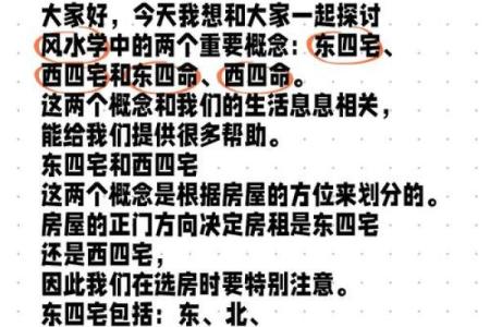 解密命理：东四命与西四命的奇妙世界