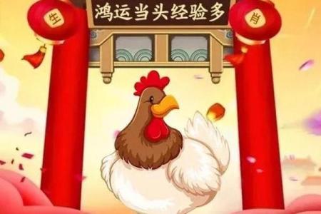 属鸡之人命理解析：他们的性格、事业与爱情之路！