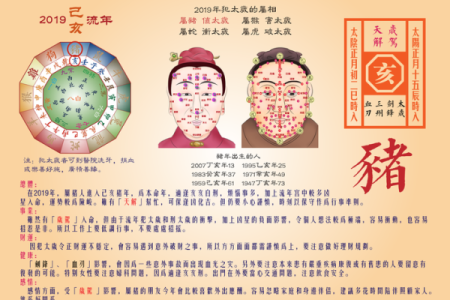 11月出生猴子的命理解析与人生运势展望