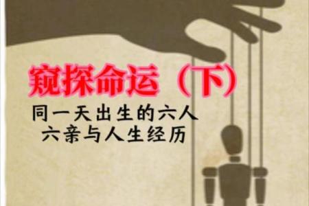 1983年与1984年出生命运解析：探索人生的风景与挑战