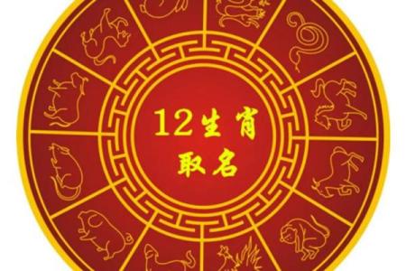 68属什么的命运解析：一探生肖的奥秘与命理!