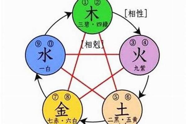 水命与木命解析：看五行如何深刻影响人生