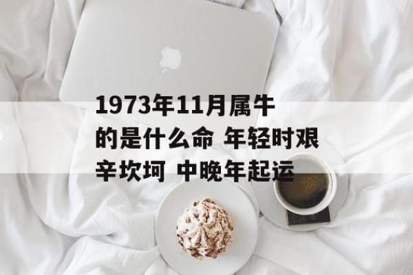 1973年出生的人：命运与性格的深度解析