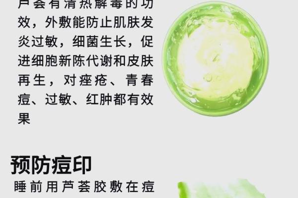 大林木命护命符：如何选择与使用护法保平安