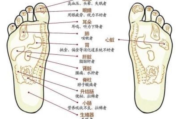 脚掌宽大，命运不同：解读脚掌宽的人生密码
