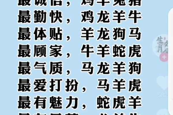 坐守命理与生肖的深奥解析：探寻幸福人生的秘密之源