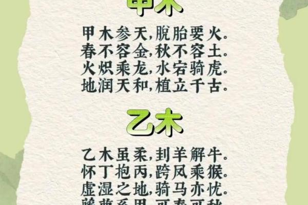 土命人与水命人相辅相成，探寻彼此的恩惠与机遇