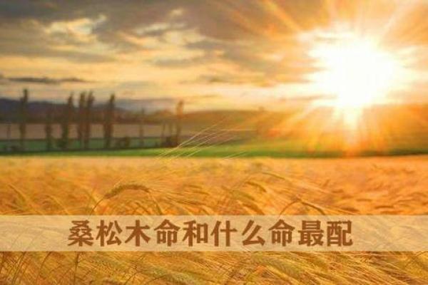 桑松木命忌什么颜色？探索命理与生活的奇妙关联