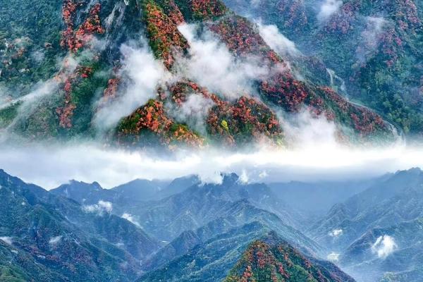 火命与金命的土化解秘诀：如何利用大地的力量提升运势
