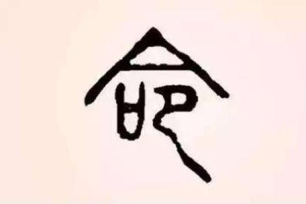 知命惜命改命的智慧：人生的选择与转变