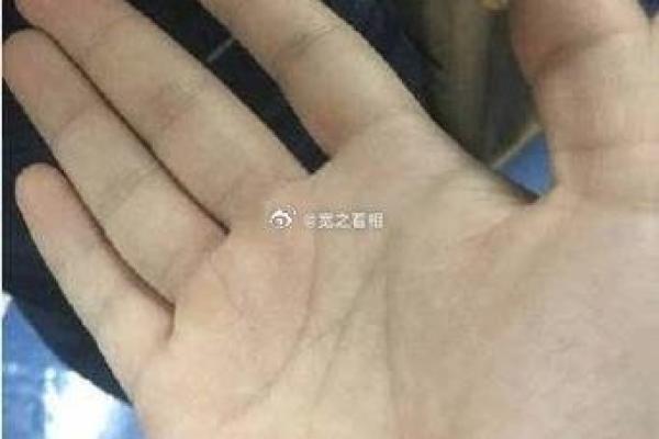 石榴木命之谜：深入探索与之相配的五行元素与生命智慧