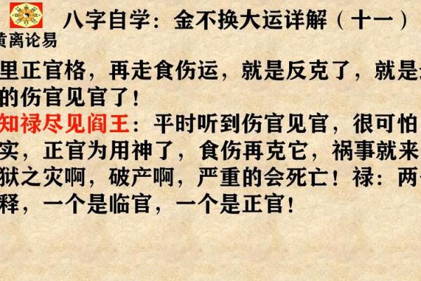 探秘正官：男命与女命中正官代表的生肖象征与命理分析