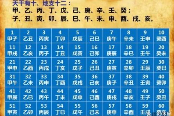 什么生肖孩子命最好？探究命运与生肖的奥秘