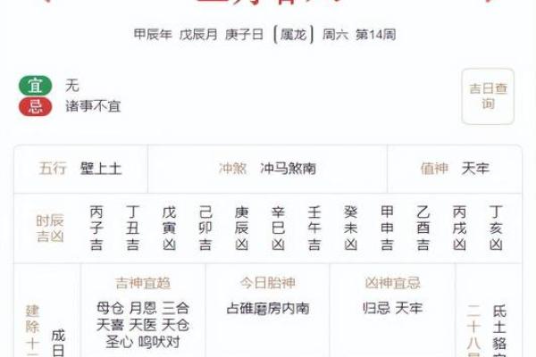 2025年生肖属马：好运势与命运的巧妙交织解析