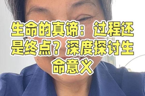 2019年本命年解析：运势变化与命理智慧的深度探讨