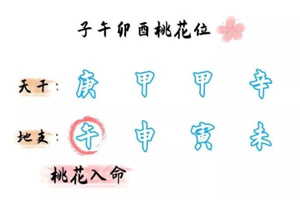 剑锋金命与不宜结婚命型的深入探讨