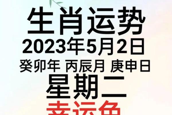 2023年生肖运势大全：开启你的幸运之旅！