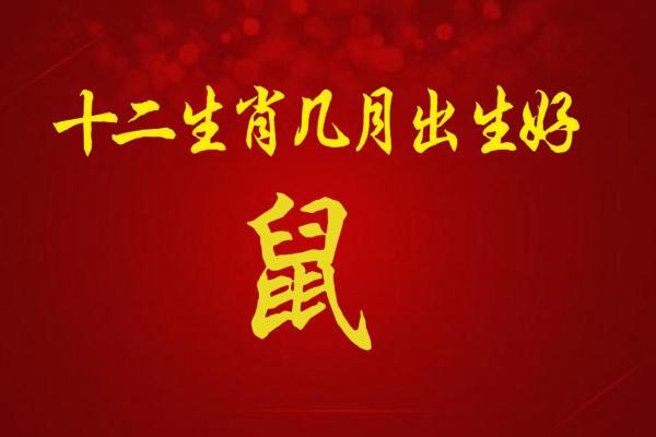 农历10.23出生的人命运解析：命理与生活的深度剖析