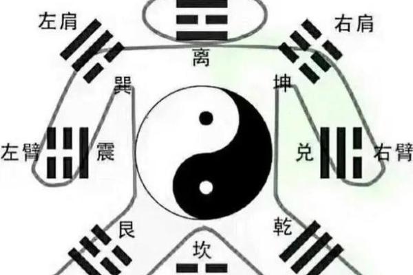 探索19880713的命理奥秘，这一天出生的人注定与众不同！