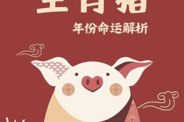 2007年的生肖猪：命运与运势的深刻解析