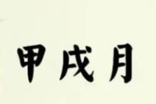 农历1978年出生者的命格解读与生活启示