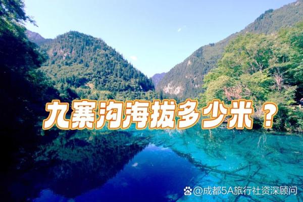 海中金命：探讨适合其子女命格的完美结合之道