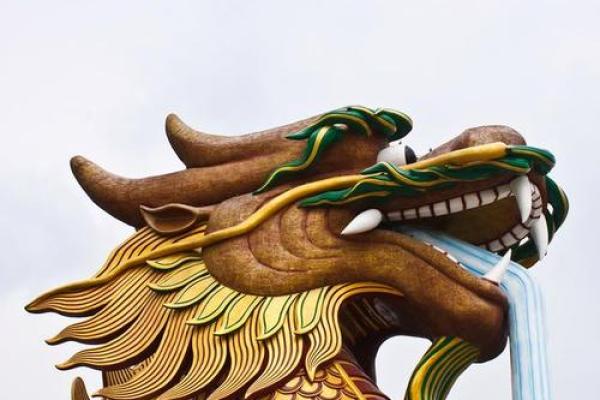 19850116出生的命运解码：探索辰龙之年的神秘人生