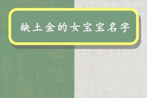 属蛇的命运：金命的独特魅力与人生指导