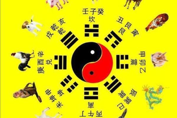女命时支命理解析:揭示命运与性格的深层联系 女命时支命理解析:揭示命运与性格的深层联系