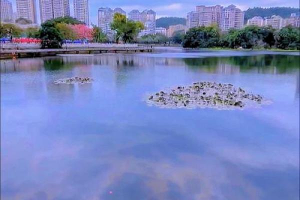 探寻1967年羊人命运:性格特点与人生轨迹分析 探寻1967年羊人命运:性格特点与人生轨迹分析