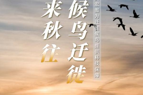 1977年8月出生的命运探索:生命之旅的奇妙篇章 1977年8月出生的命运探索:生命之旅的奇妙篇章