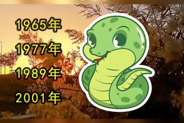 1863年出生的人究竟有什么命运与特点？揭秘其背后的生肖文化!