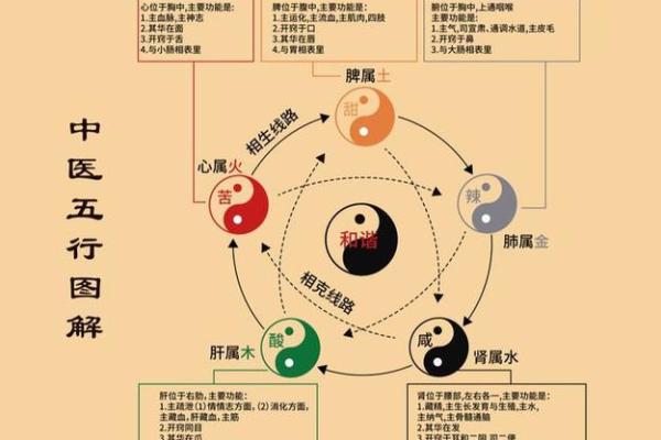94年狗火命与五行相生相克的完美搭配解析