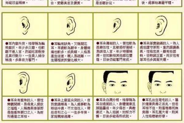 富豪命局解析：揭示财富背后的命位秘密