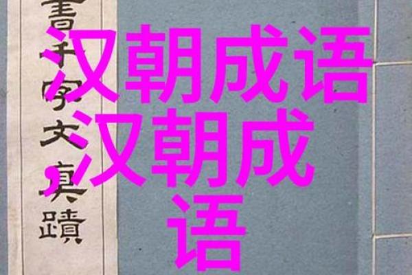 命名成语的独特魅力与生活智慧