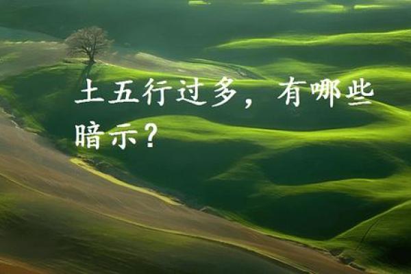 五个土命：揭开命格背后的神秘与能量