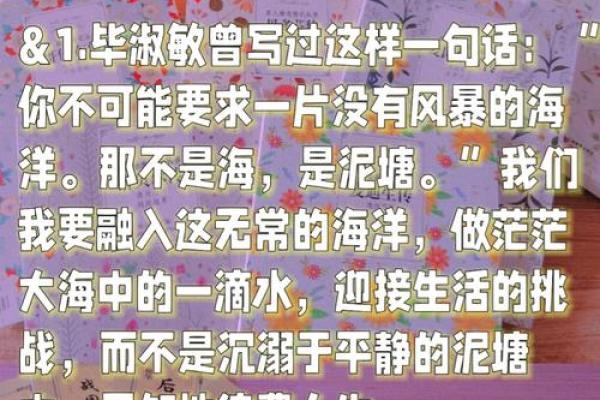 己卯男命的运势解析与生活建议，助你开启美好人生！