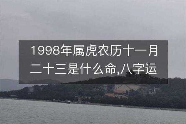 1998年农历12月出生的孩子命运探秘：生活与事业的完美结合