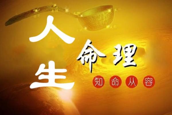 20081022命理解析：探索你的人生轨迹与财富未来