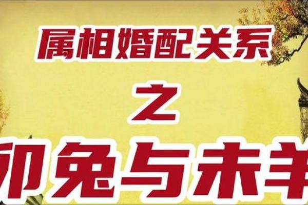 2015年牧羊年——属羊人的命运与人生智慧