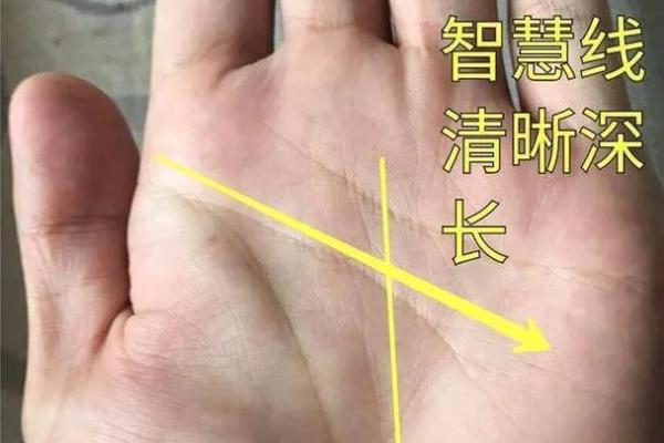 土命女与八种命格的最佳搭配,旺夫成名的秘密! 土命女与八种命格的最佳搭配,旺夫成名的秘密!